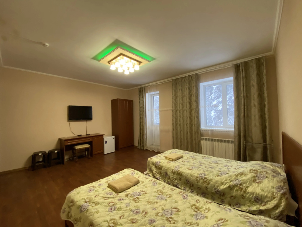 Standard Double room (twin beds)