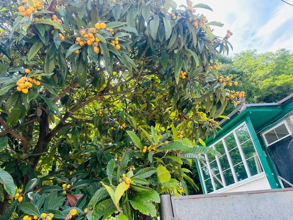 Private house Retro-Dacha V Sukhume