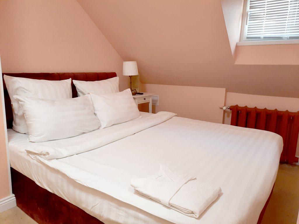 Barin Rezidens Tsentr Hotel Room Type - Deluxe Double Attic room full double bed