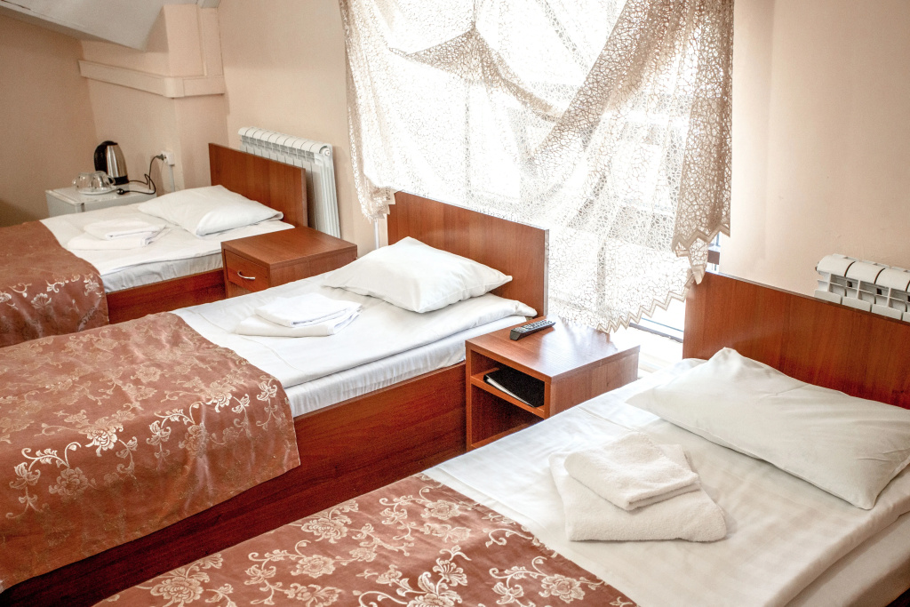 Azaliya Na Moskovskoj Room Type - Economy Triple room