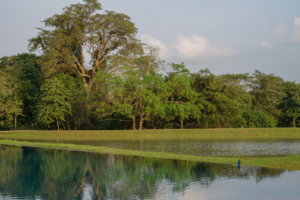 Отель Water Garden Sigiriya - фото 28