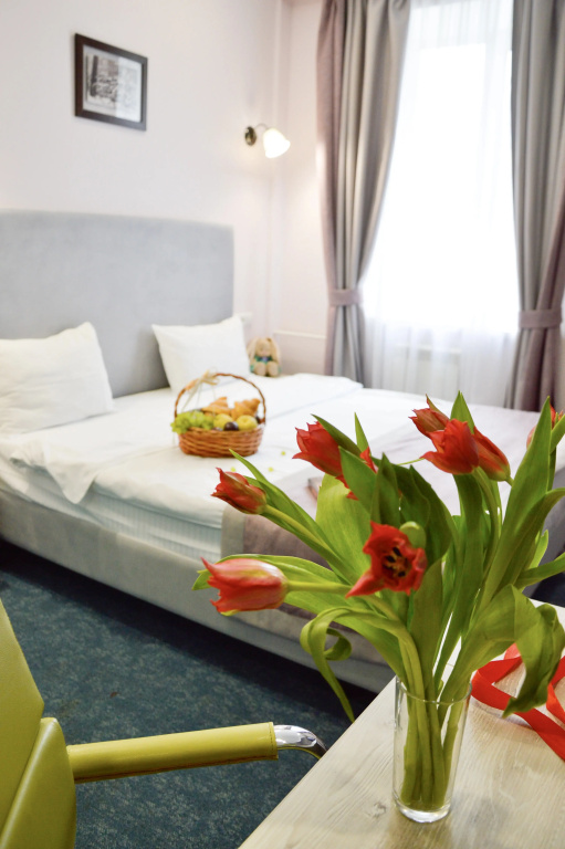 Standard Double room with courtyard view (twin beds)