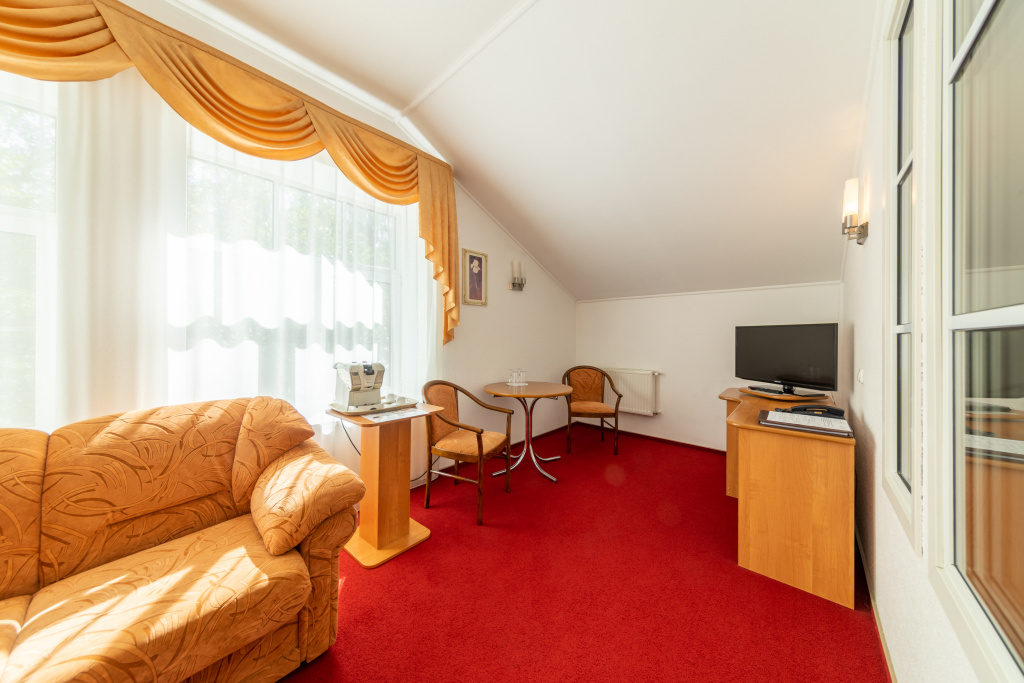 Tver Park Hotel Room Type - Standard Double Attic room full double bed