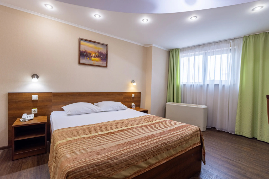 Standard Double room with city view (full double bed)
