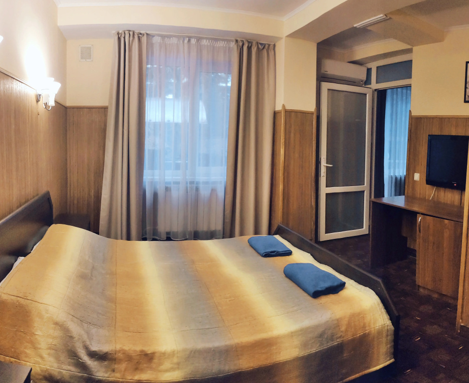 Standard Double room (full double bed)