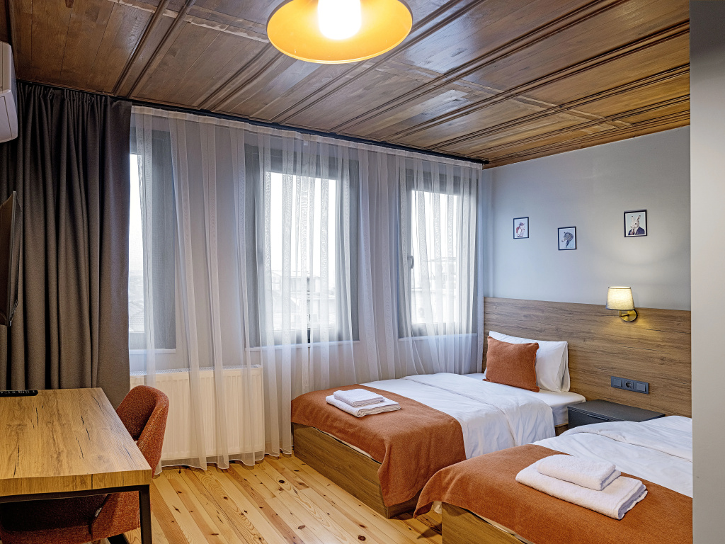 Standard Double room with city view (twin beds)