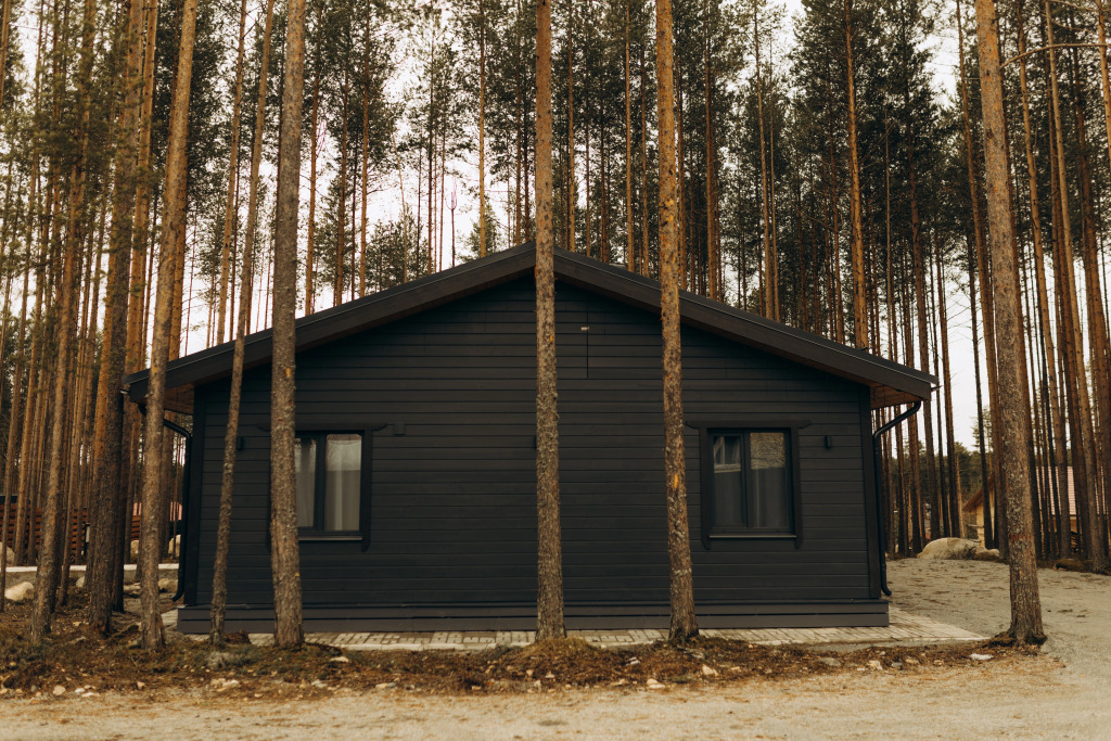 Коттедж в Karjala house