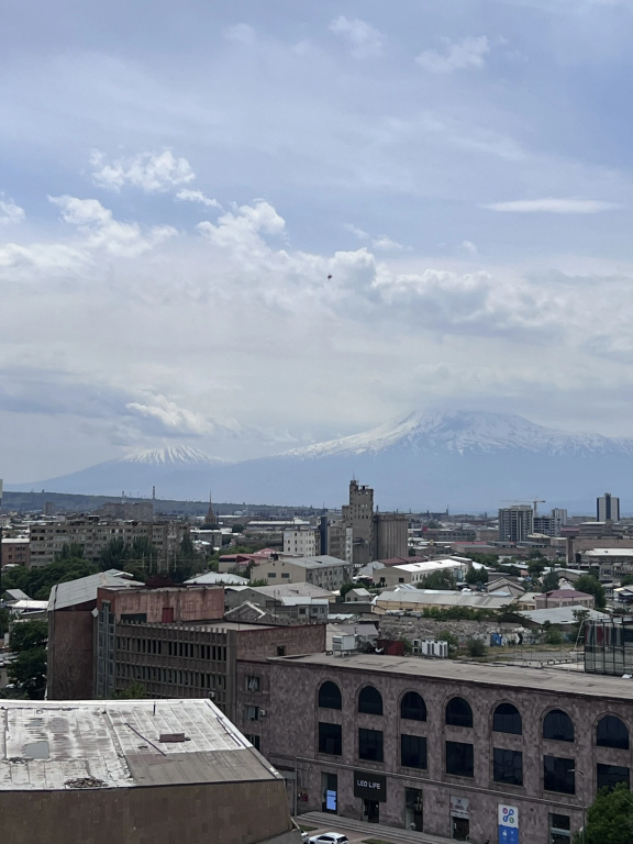 Apartment In The Heart Of Yerevan, Apartments
