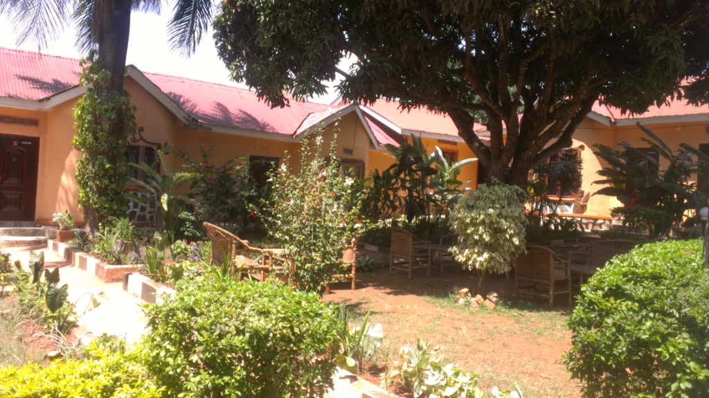 Image 7