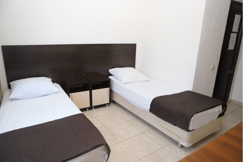 Двухместный номер Economy с видом на город 2 отдельные кровати в Централь