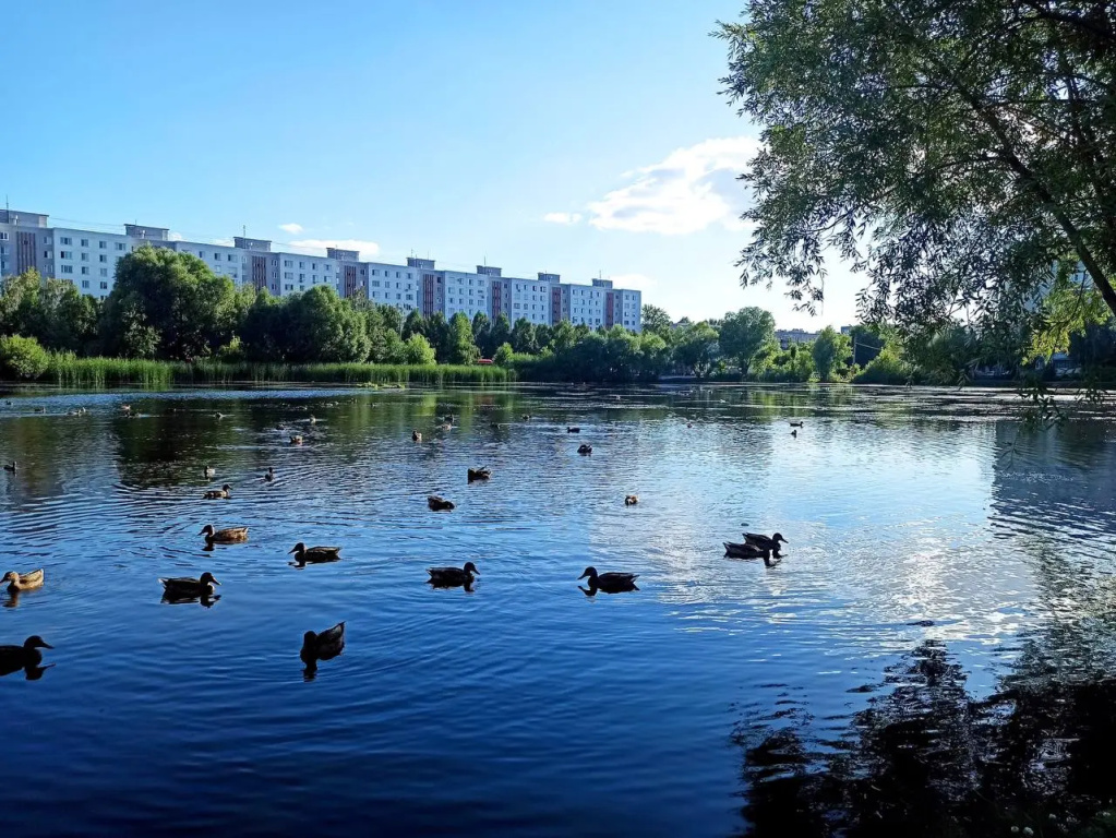 Квартира у озера — фото
