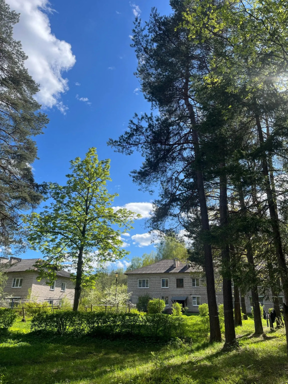 Квартира Семейная в Сосновом Лесу - фото 29