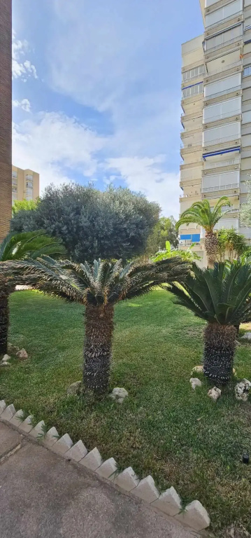 Apartments Studio Campoamor with sea view