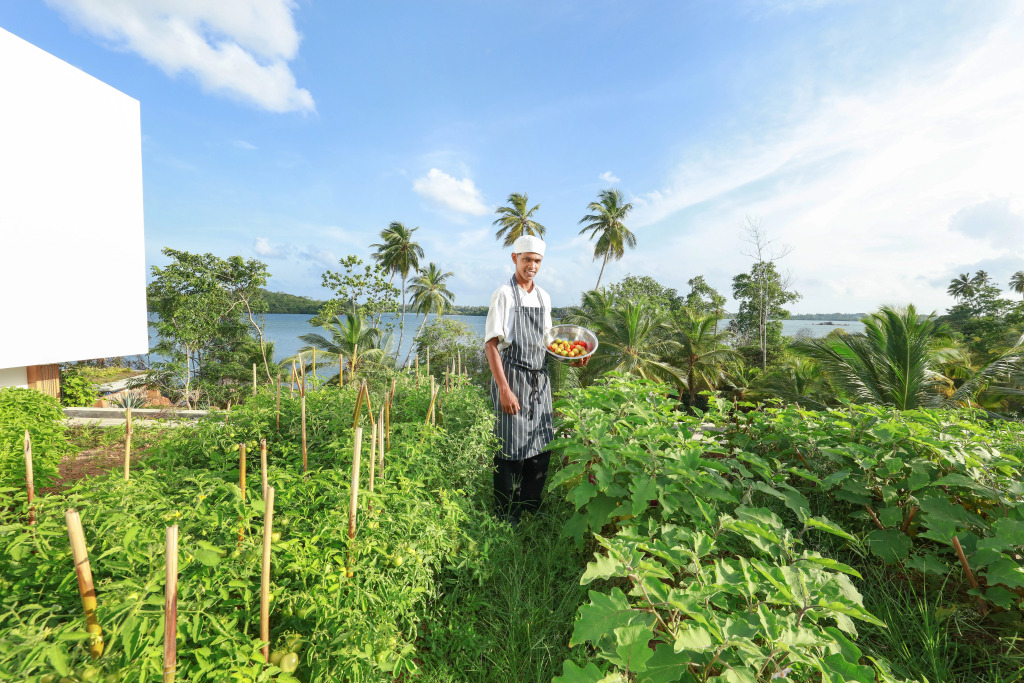 Отель Tri Koggala by Amaya - фото 43