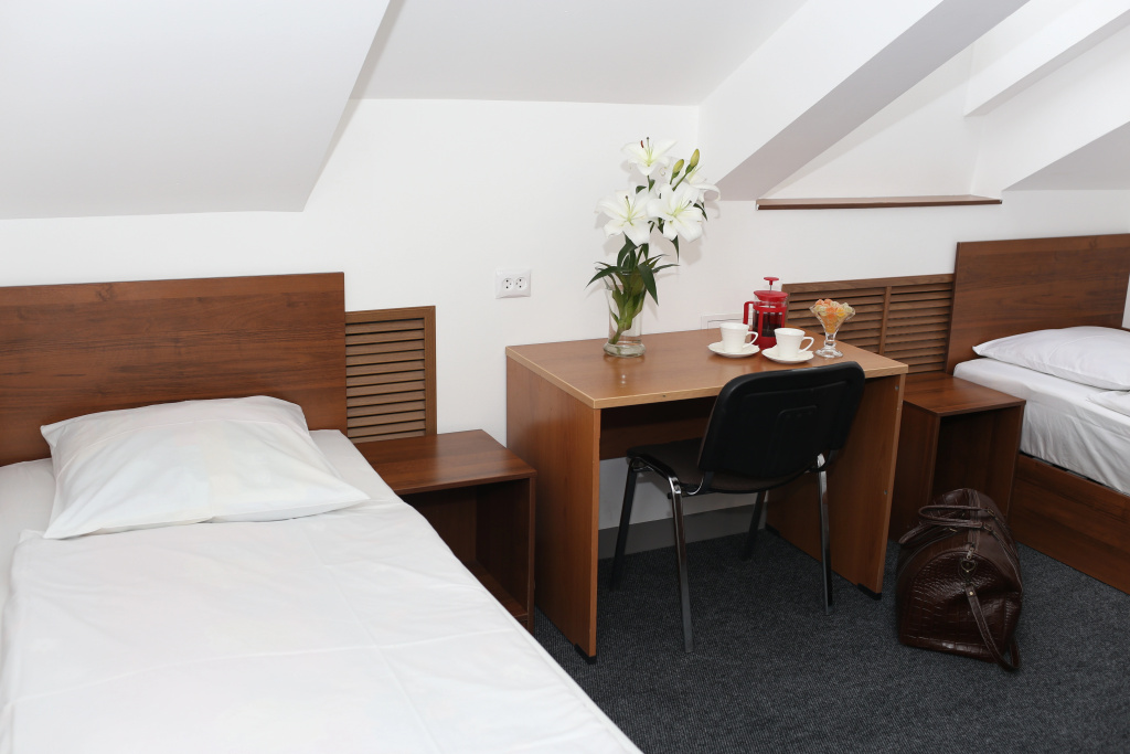 Standard Double room (twin beds)