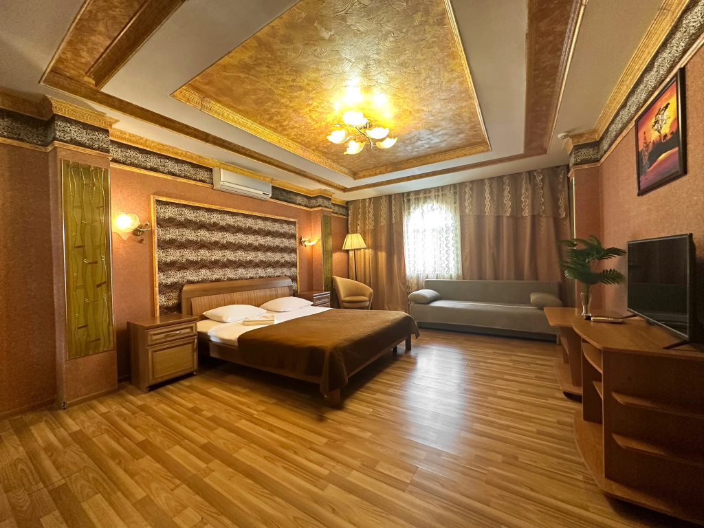 Standard Double room (full double bed)