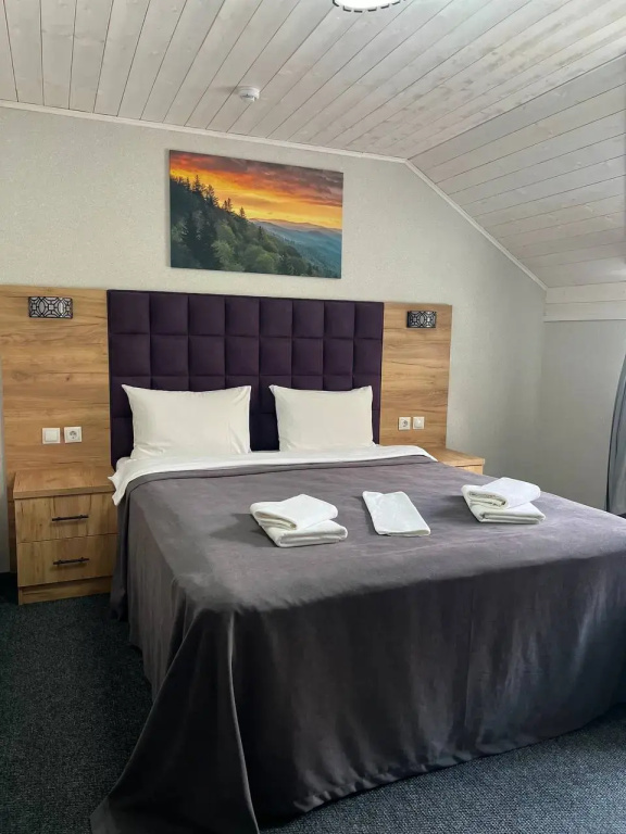 Standard Double Attic room (full double bed)