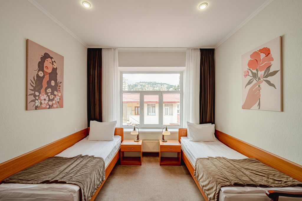 Standard Double room (full double bed)