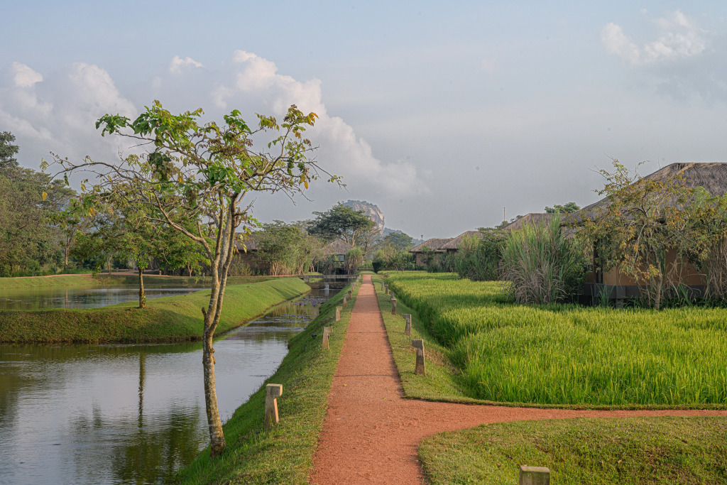 Отель Water Garden Sigiriya - фото 31