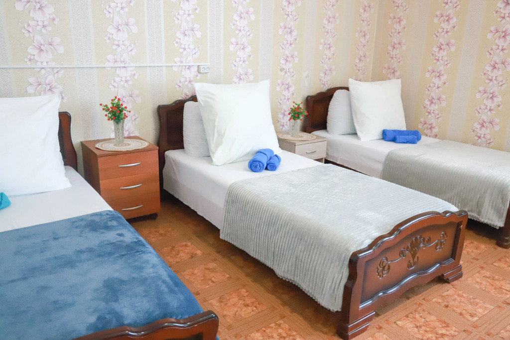 Трёхместный номер Economy в Maxrooms дача Левитана под Плёсом