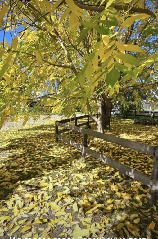 Гостевой дом На радужном берегу - фото 16