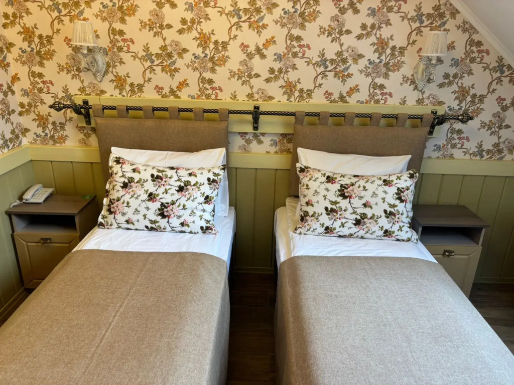 Двухместный номер Standard 2 отдельные кровати в Лесная поляна