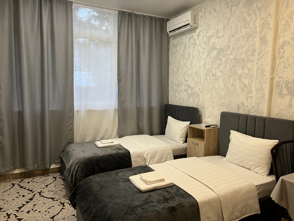 Standard Double room (twin beds)