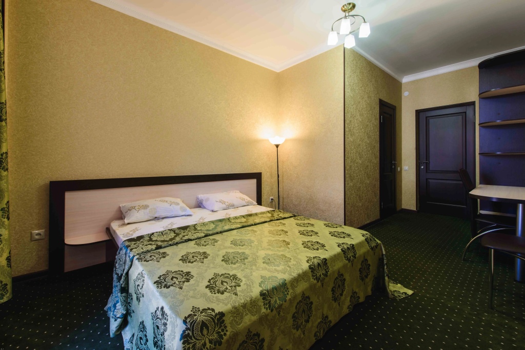 Standard Double room (full double bed)