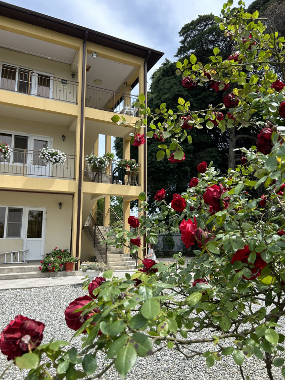Black Sea Guest House