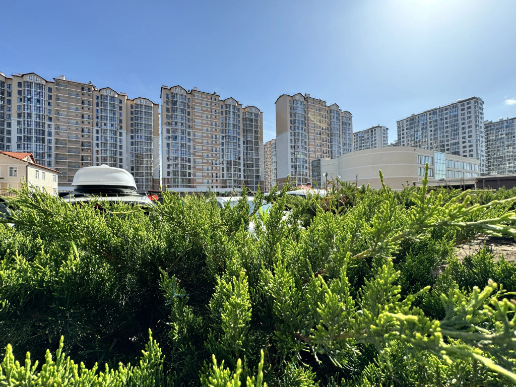 Квартира Стильная с видом на виноградники — фото