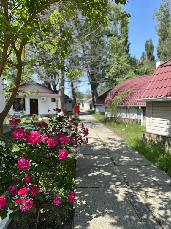 База отдыха Динамо 2 — фото