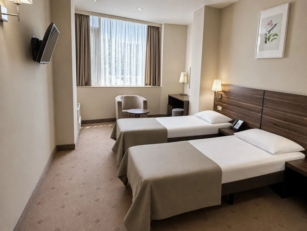Economy Double room with city view (full double bed)
