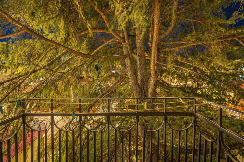 Panoramic View with Piano | Vintage Style Apartments