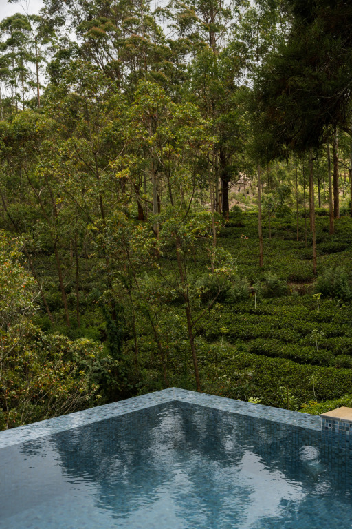 Бунгало Stafford - фото 9