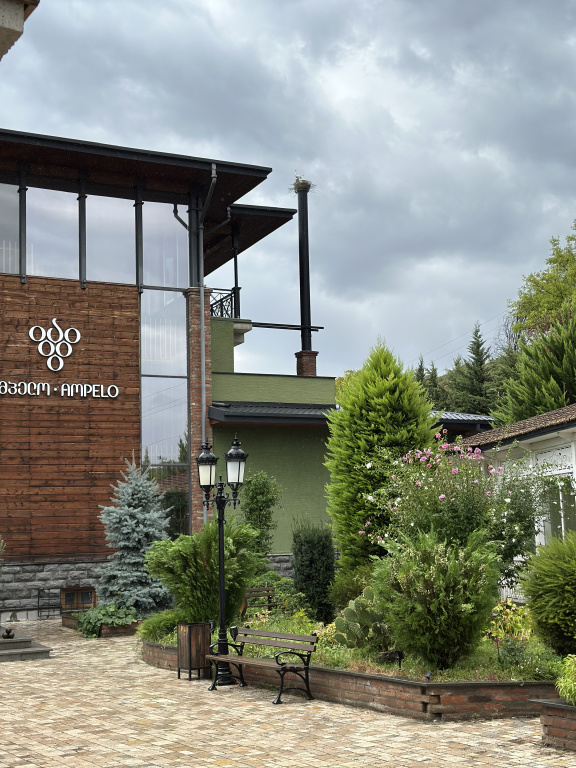 Ampelo Hotel Kardenakhi, Кахетія, Грузія мініатюра 8