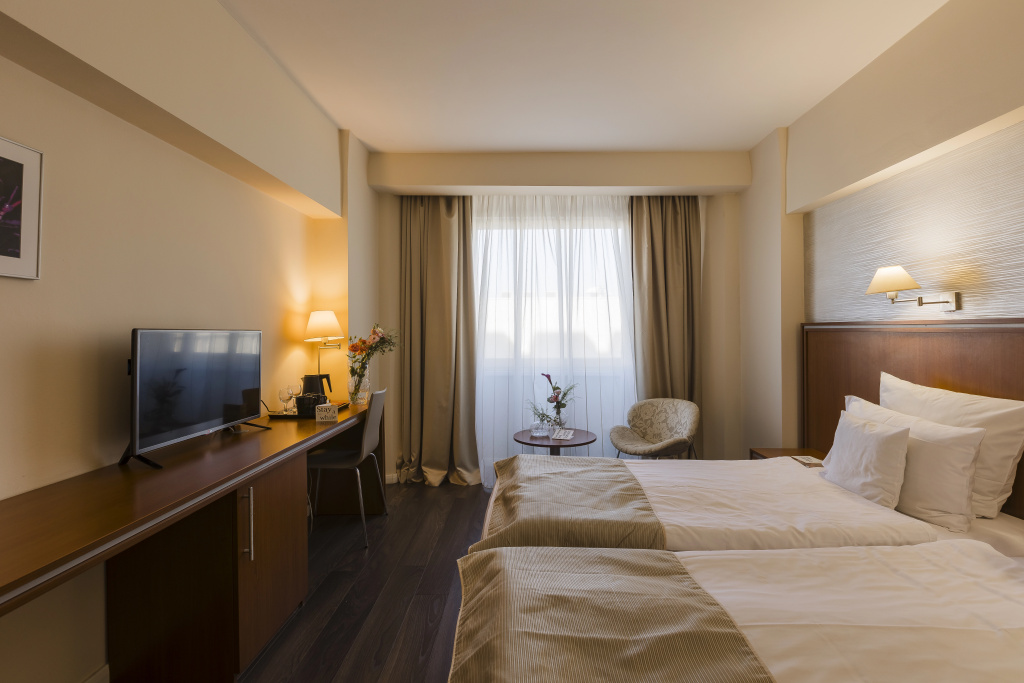 Business Double room (twin beds)