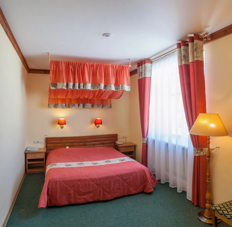 Snegurochka Hotel Room Type - Standard Double room full double bed