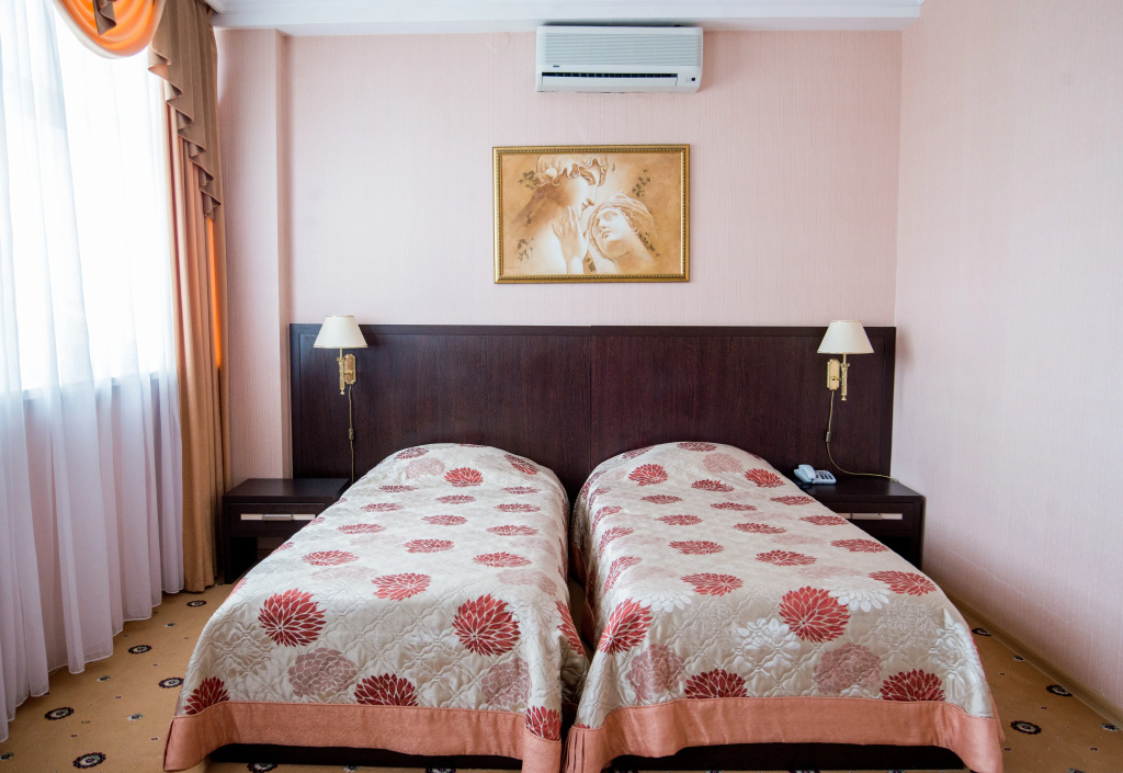 Profit Hotel Room Type - Standard Double room with city view twin beds