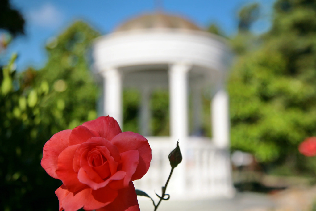 Отель Golden Family Resort - фото 9