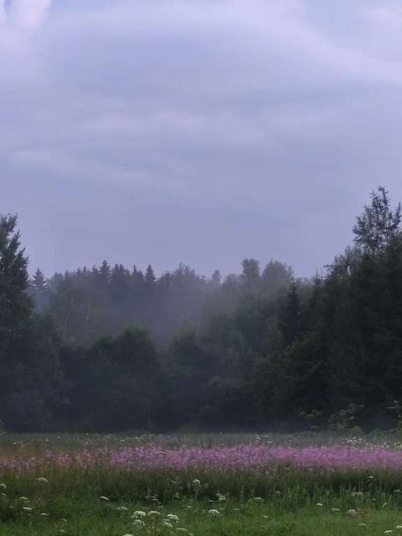 Частный дом Загородный - фото 2