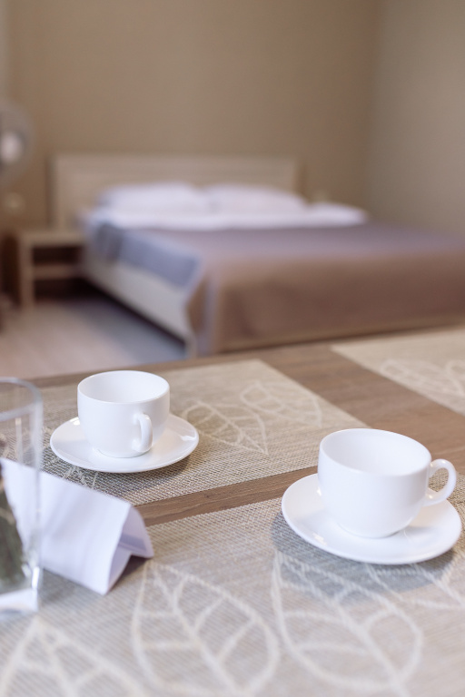 Apartmenty KMV Mini hotel Room Type - Superior Double Apartment full double bed