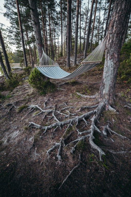 Vuoksa camp — глэмпинг на берегу вуоксы. черное озеро полазна. Vuoksa camp — глэмпинг на берегу вуоксы. чёрное озеро пермский край полазна. Vuoksa camp глэмпинг.