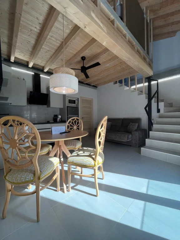 Luxury Apartment