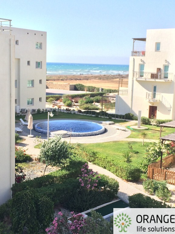Aphrodite Beachfront Village