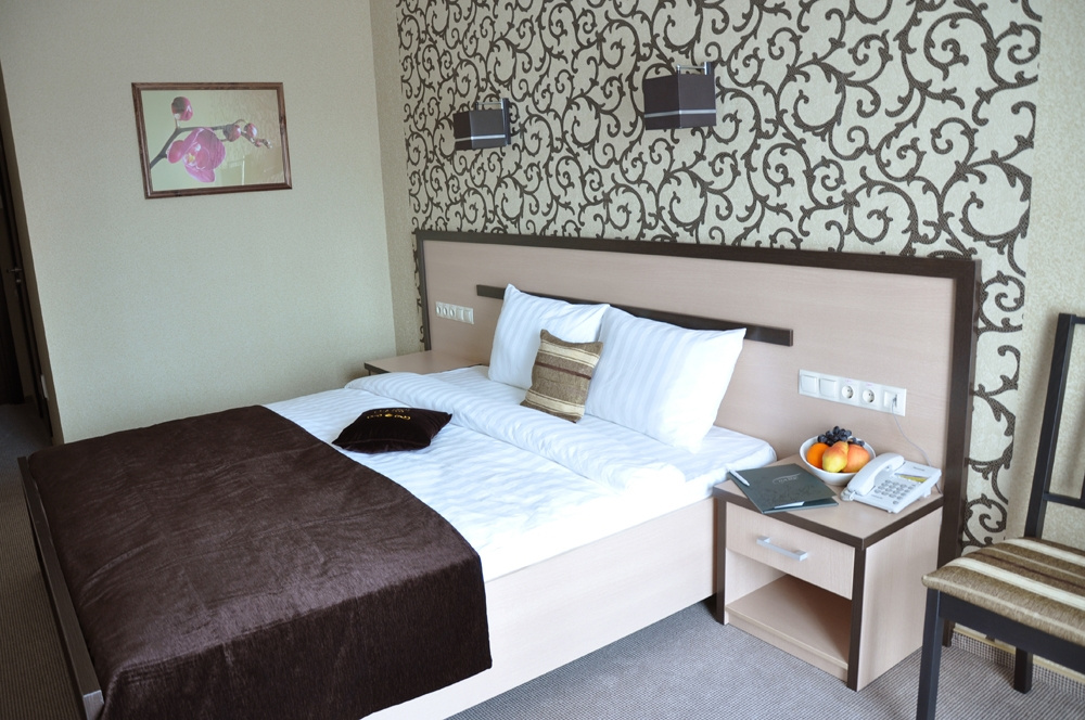 Standard Double room with city view (full double bed)