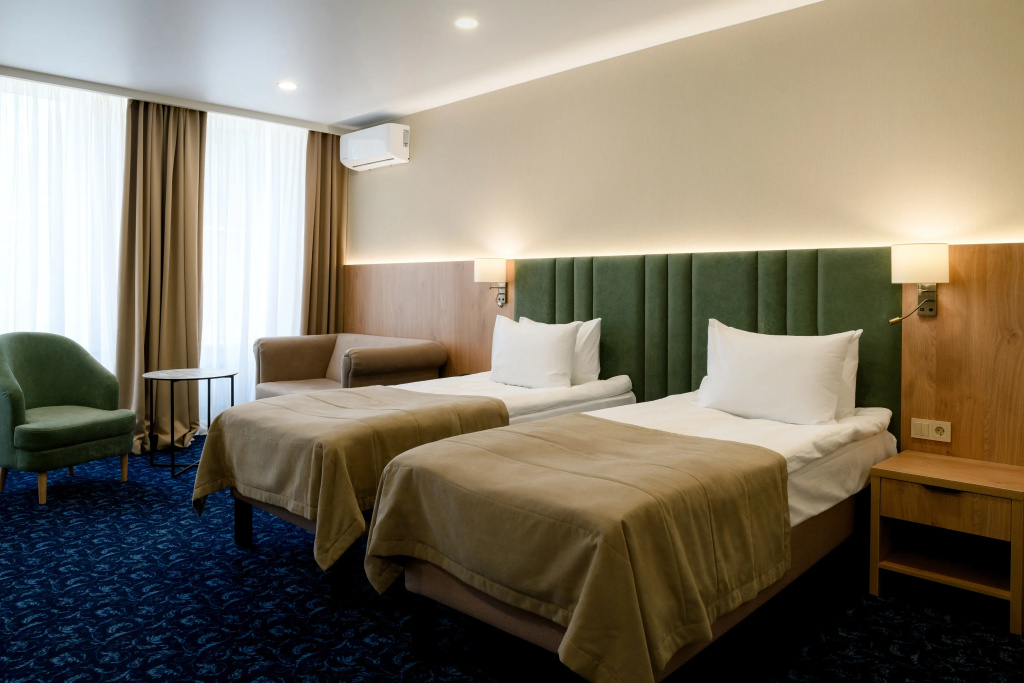 Standard Double room with city view (twin beds)