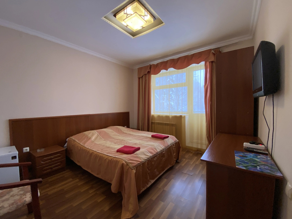 Standard Double room (full double bed)