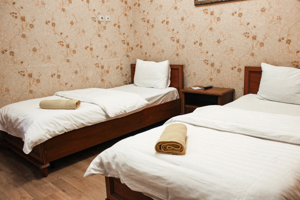 Standard Double room (twin beds)