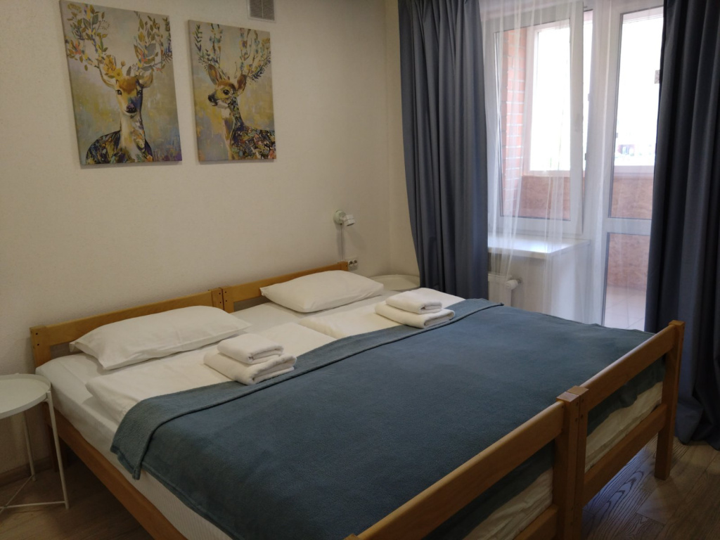 Standard Double room with city view (full double bed)
