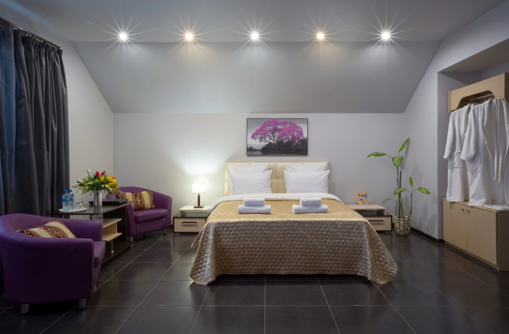 Skorpion Mini-hotel Room Type - Double Suite full double bed